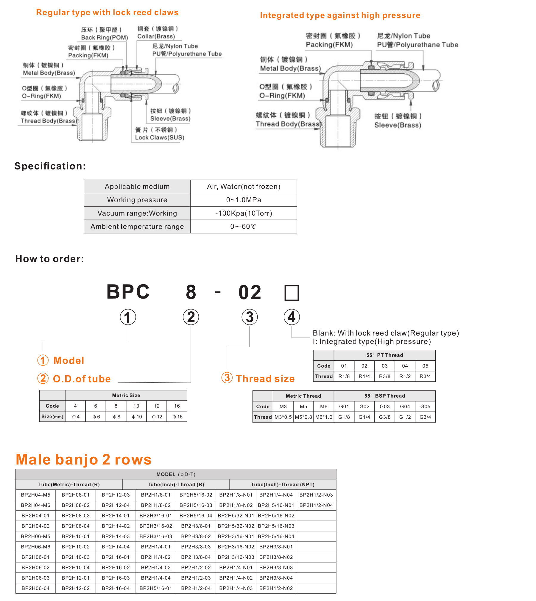 BP2H Male banjo 2 rows