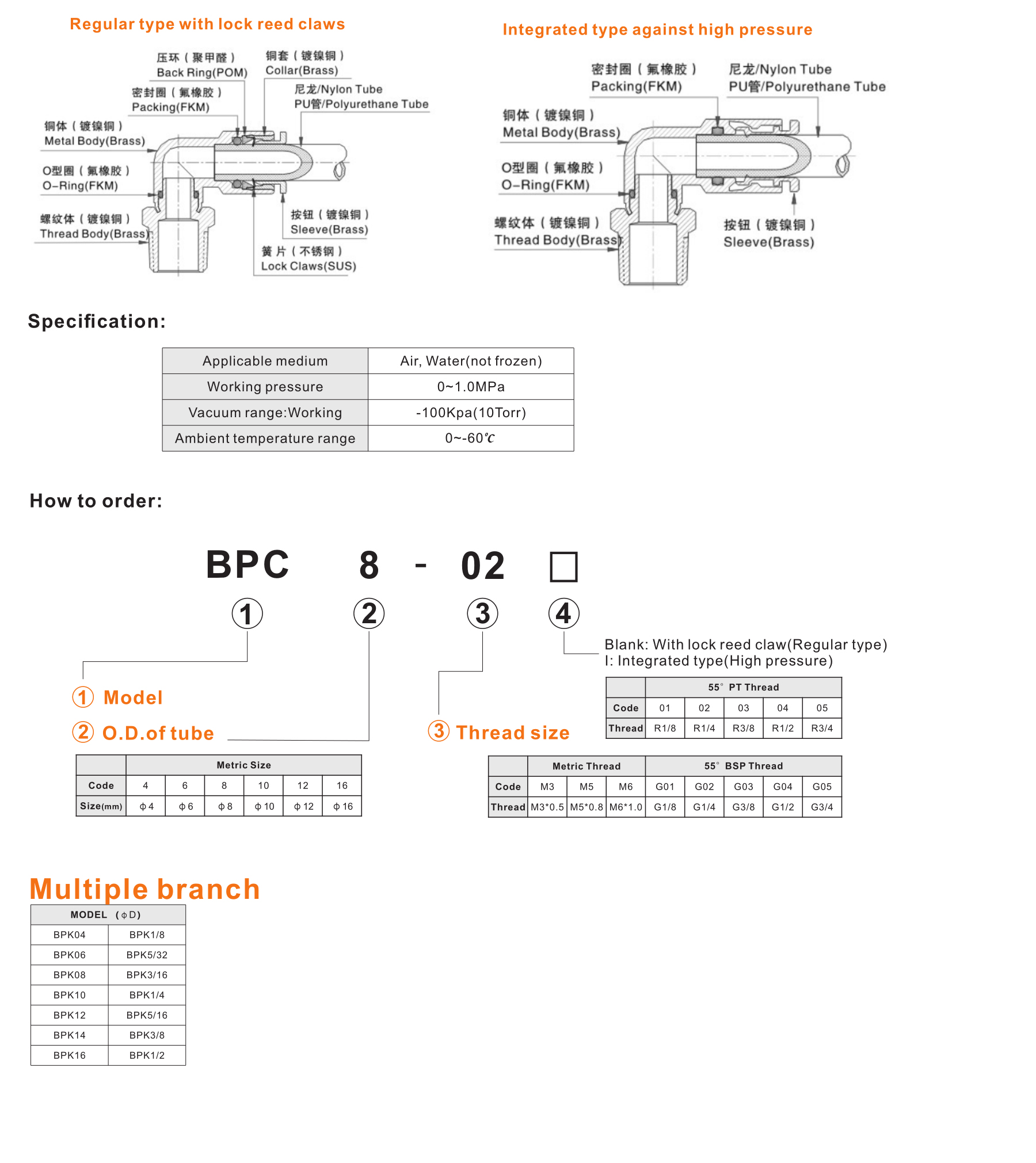 BPK Multiple branch