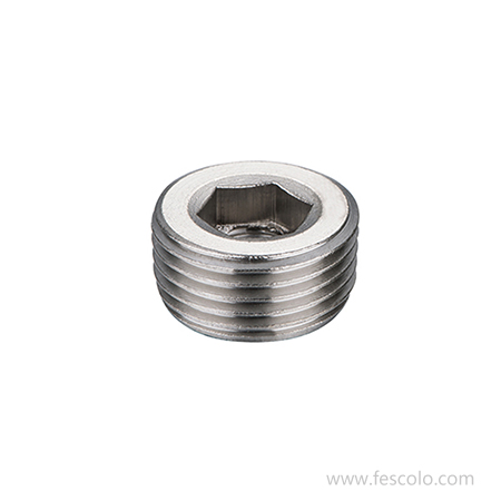 CS-036 Steel Hex.socket plug