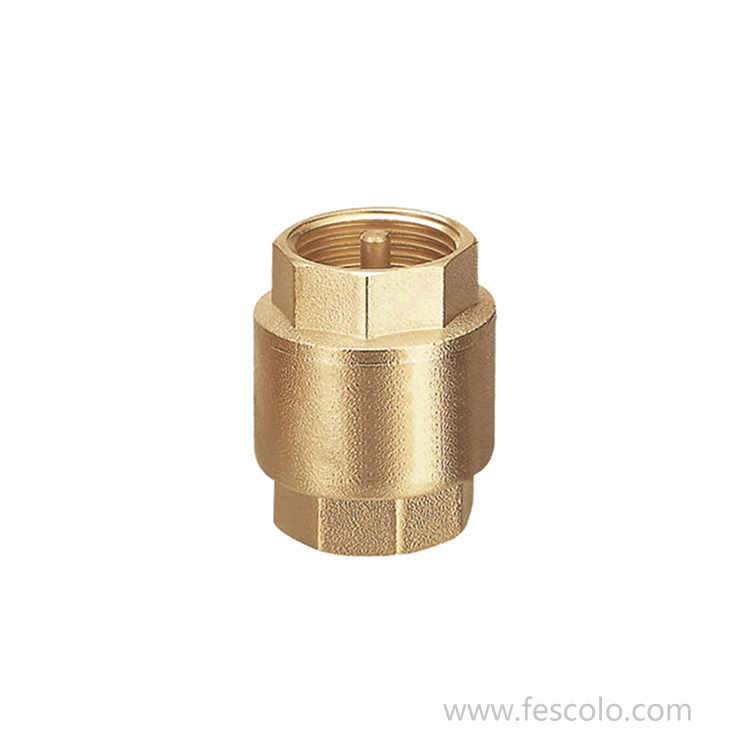 CV-07 Brass foot valve