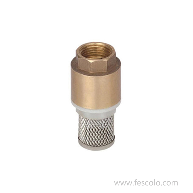 CV-07F Brass foot valve with mesh